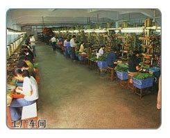 供应广州仿真植物公司 工艺礼品中的仿真松树叶鉴赏